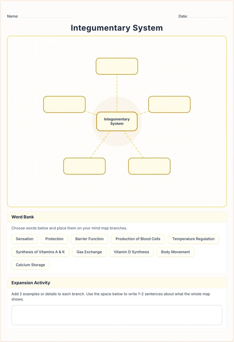 Mind Map organizer preview